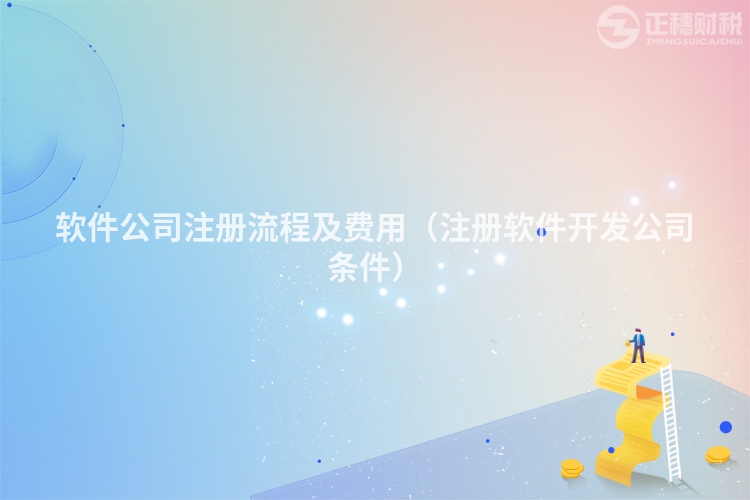 软件公司注册流程及费用(注册软件开发公司条件)
