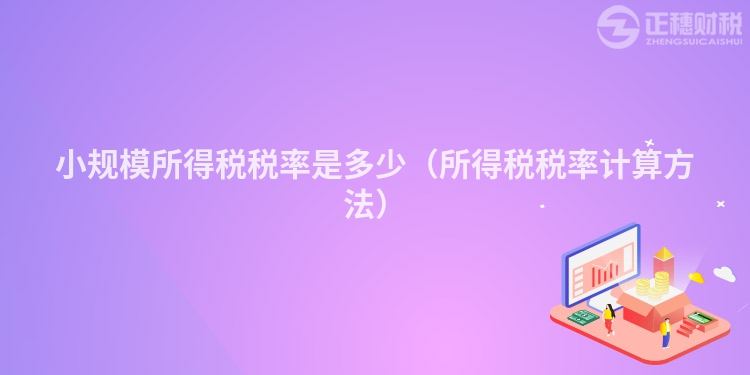 小规模所得税税率是多少(所得税税率计算方法)