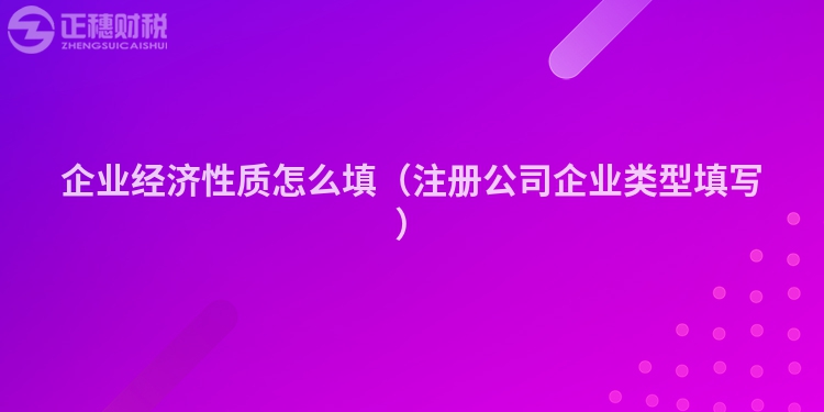 企业经济性质怎么填(注册公司企业类型填写)