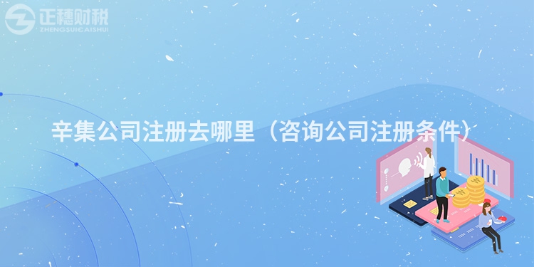 辛集公司注册去哪里(咨询公司注册条件)