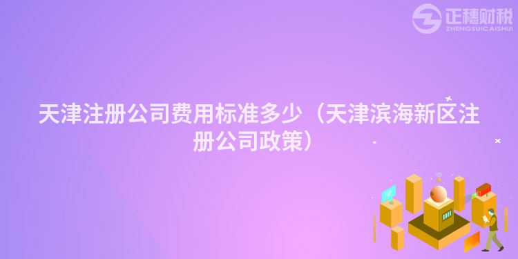 天津注册公司费用标准多少（天津滨海新区注册公司政策）
