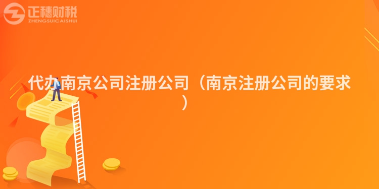 代办南京公司注册公司(南京注册公司的要求)