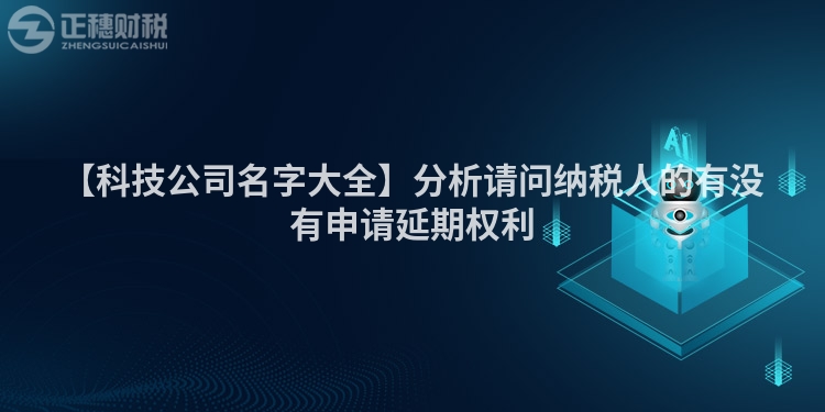 【科技公司名字大全】分析请问纳税人的有没有申请延期权利