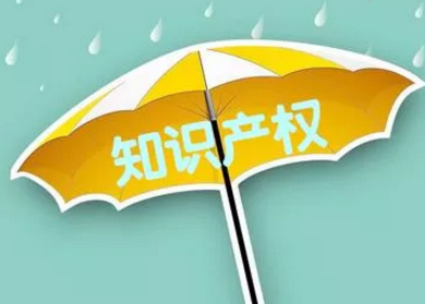 2023年广州知识产权服务